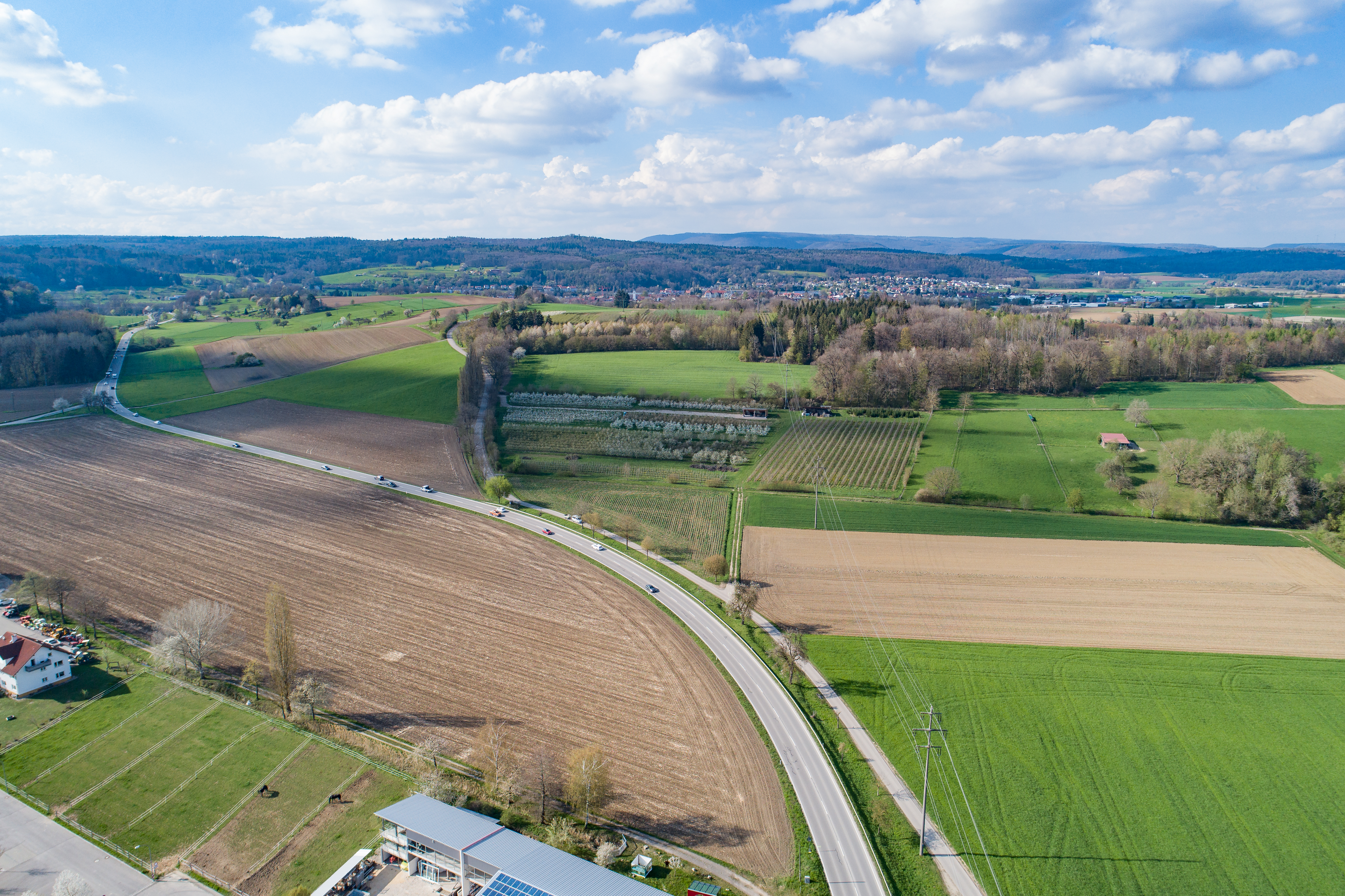 Landschaft Jestetten mit Feldern und Straße